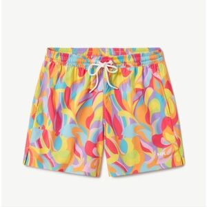 Humankind Swim 5" swim trunks in 4XL - rainbow ice cream